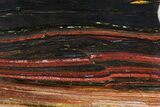 Polished Tiger Iron Stromatolite - ( Billion Years) #75854-1
